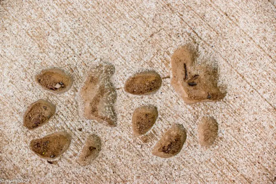 h61643ab.JPG