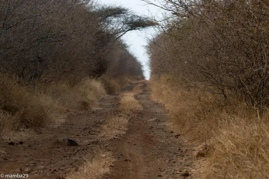h7e52413.JPG