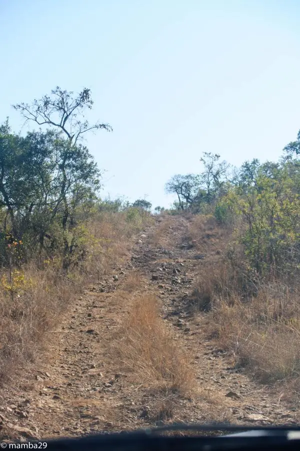 hdd81718.JPG