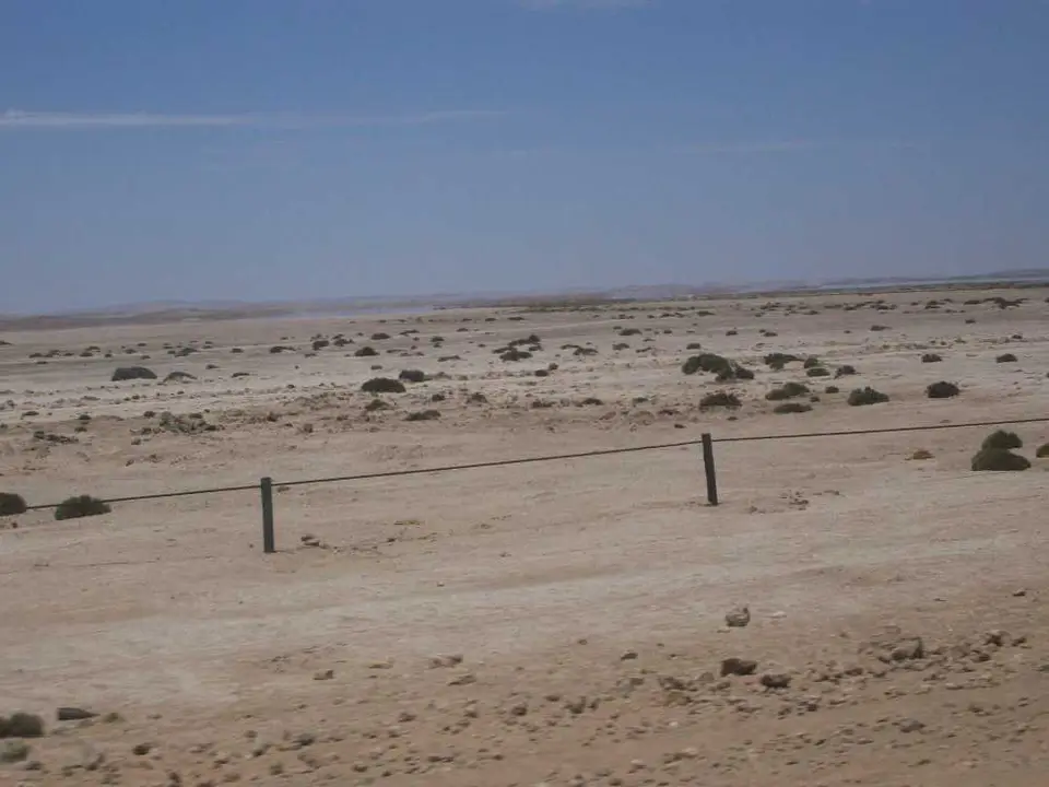 100_0716.JPG