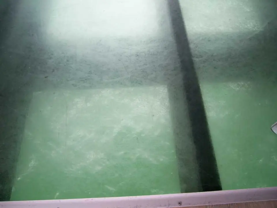 100_0793.JPG