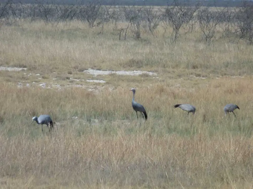 P1030167_2011-12-12.JPG