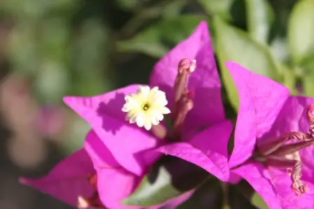 h9158533.jpg