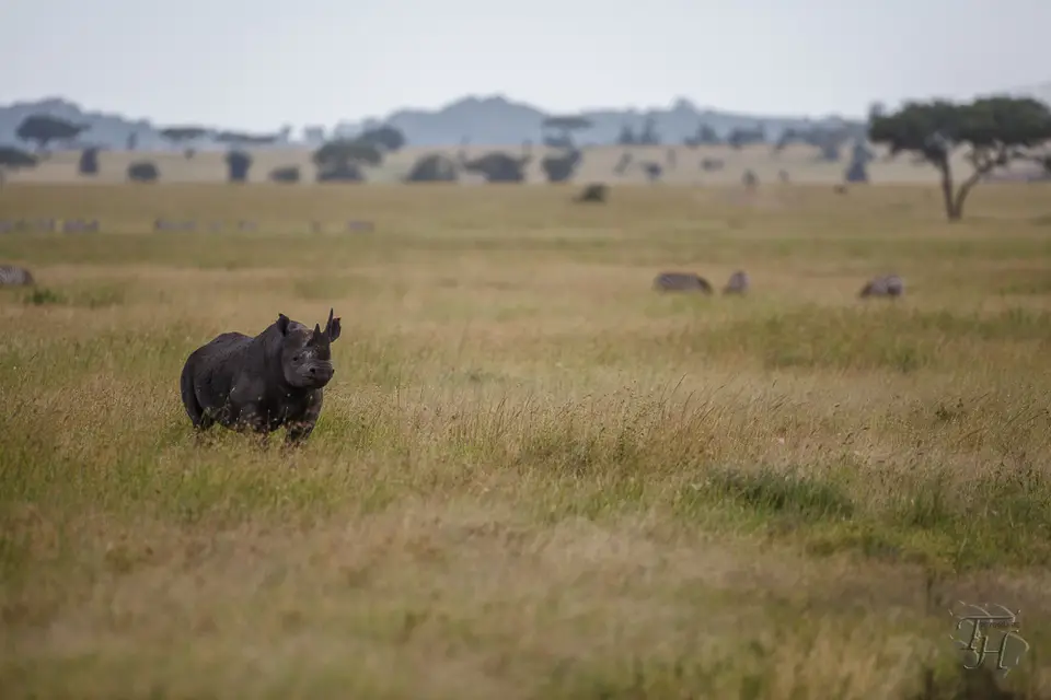 h093c6a4.jpg