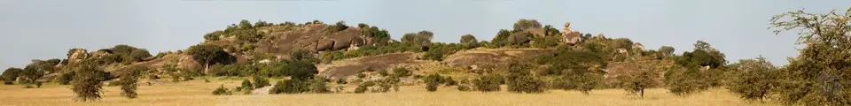 h13aaf3d.jpg