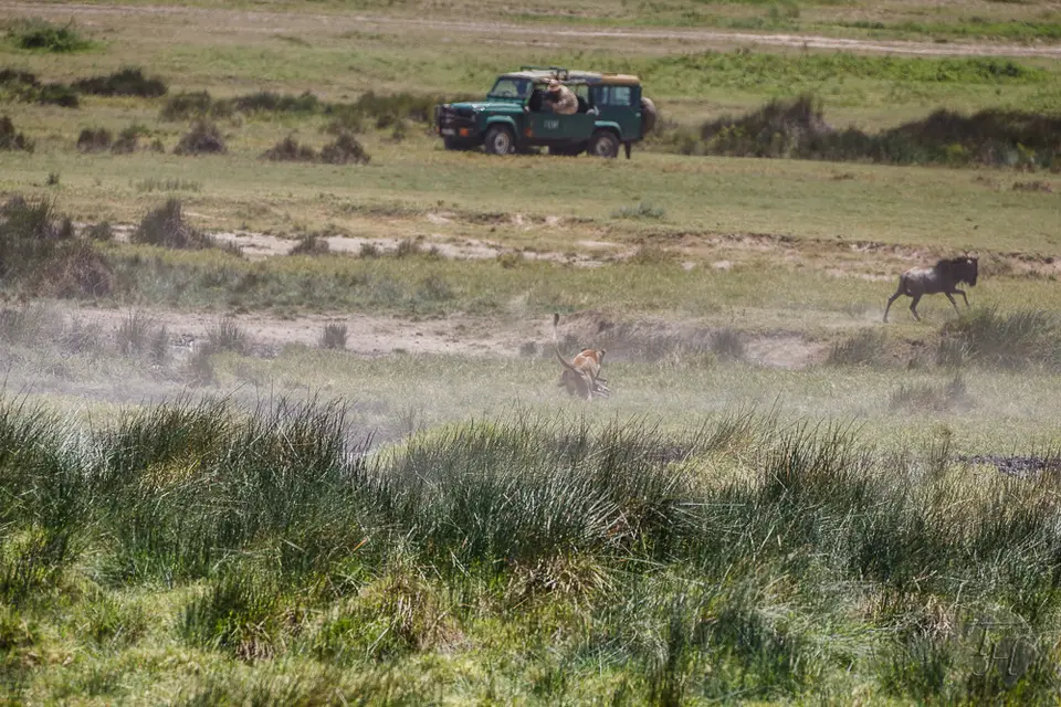 h2ec2f2e.jpg