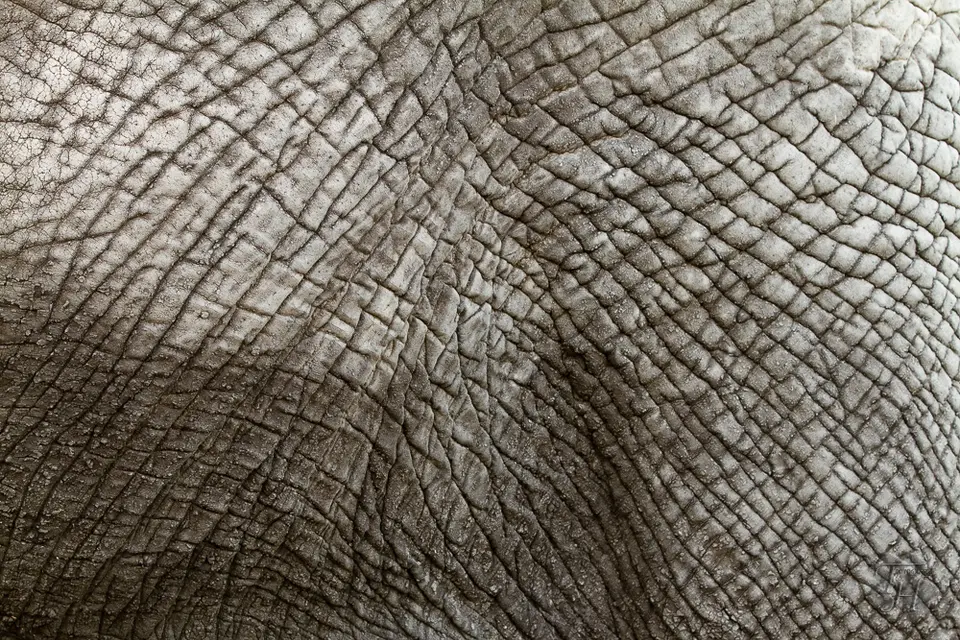 h4cf5253.jpg