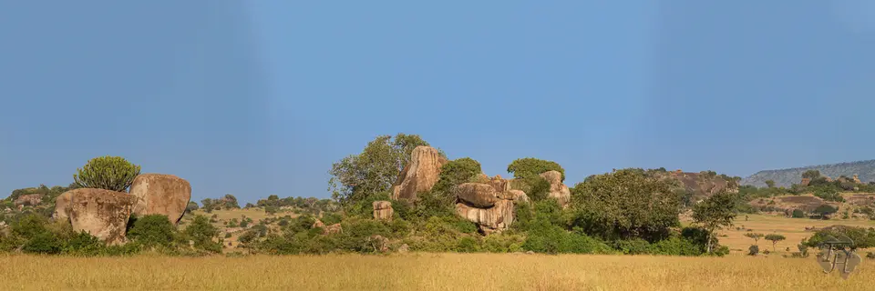 hbde2793.jpg