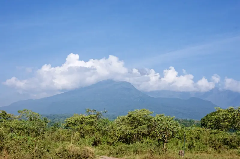 Arusha260.jpg