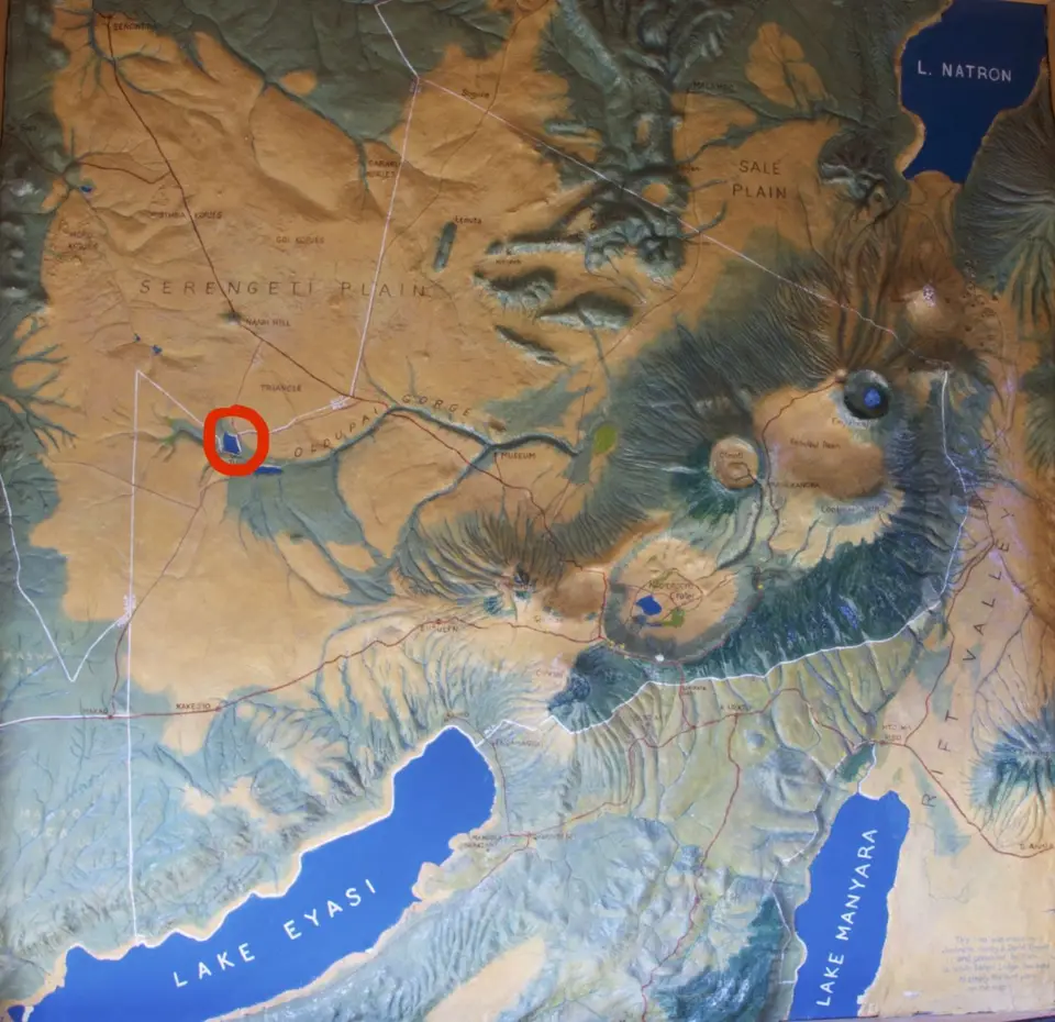 Map.jpg