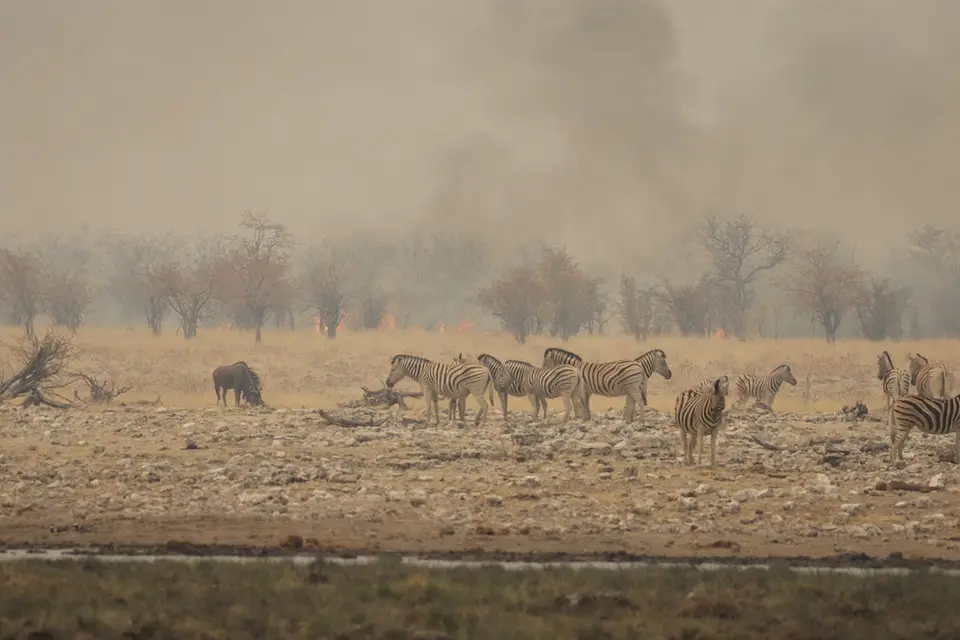 Namibia20212153.jpg