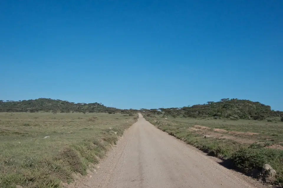 Serengeti526.jpg