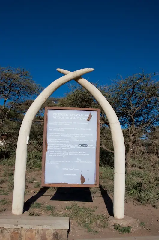 Serengeti527.jpg