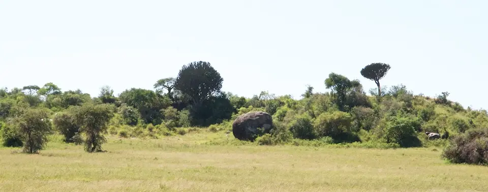Serengeti545.jpg