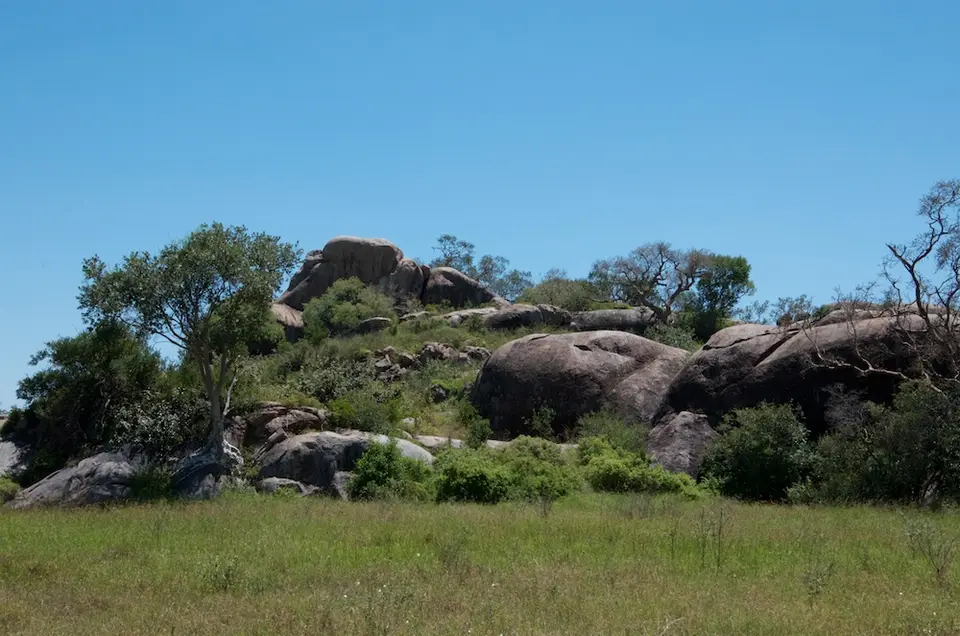 Serengeti555.jpg