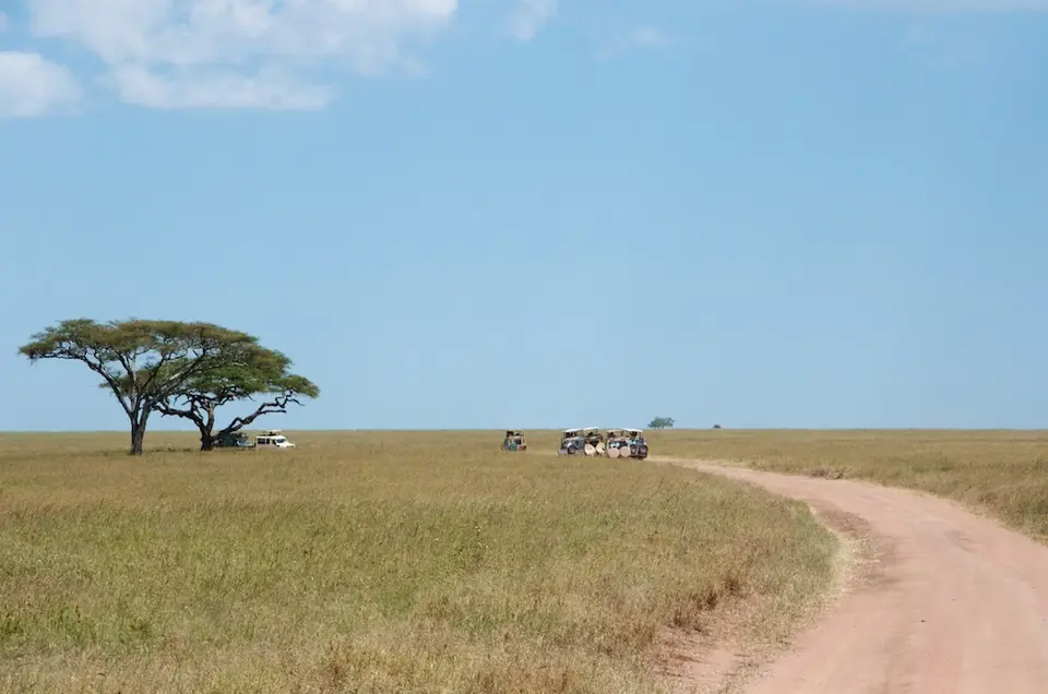 Serengeti631.jpg