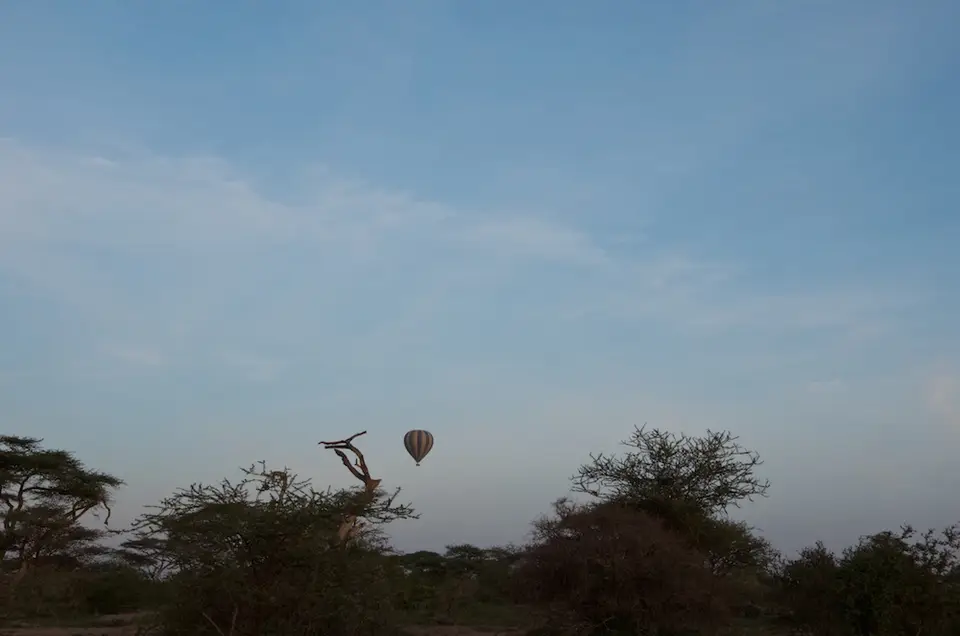 Serengeti_Sued496.jpg