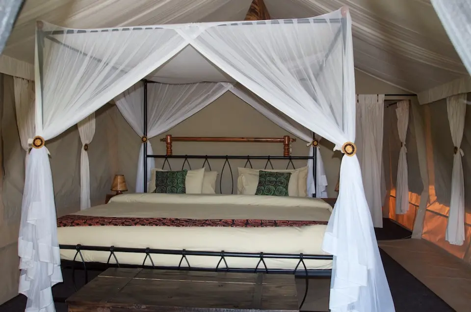 Serengeti_Tortilis586.jpg
