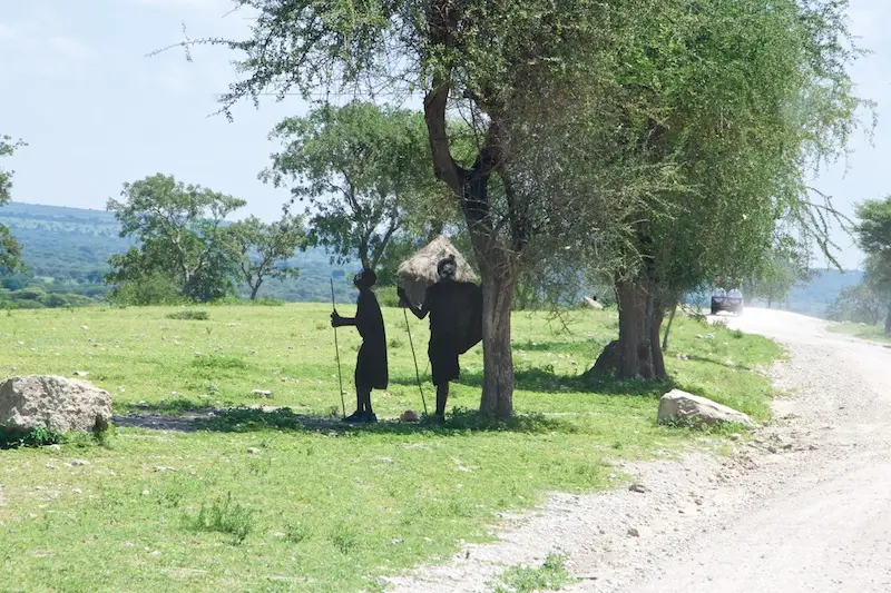 Tarangire273.jpg