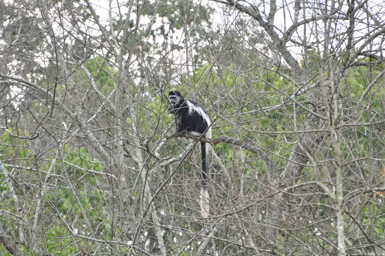 DSC_0712.jpg