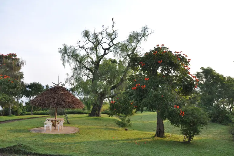 DSC_0964.jpg