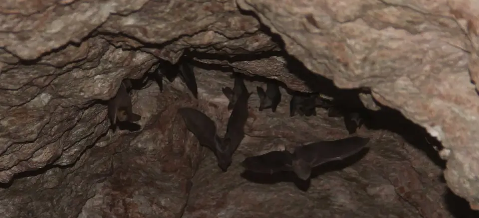 188Mine.jpg