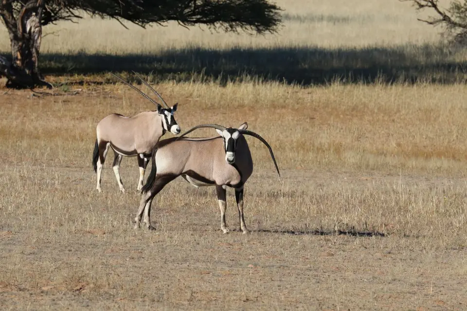 IMG_8333.jpg