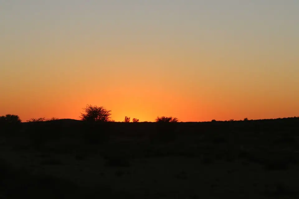 IMG_8726.jpg