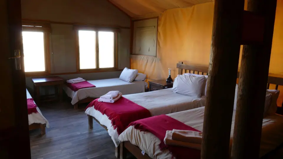 P1000577.jpg
