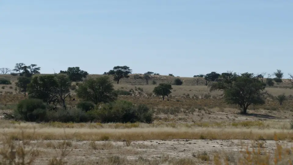 P1000817.jpg