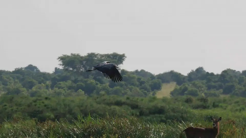 h7a7a6fb.jpg