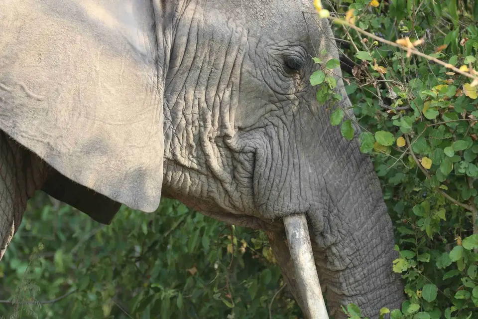 hcff480c.jpg