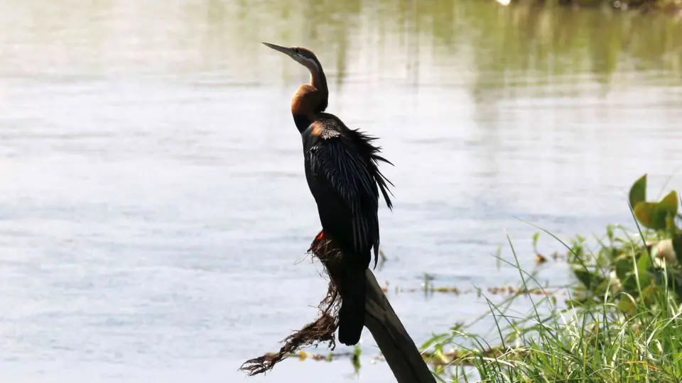 heb80ed6.jpg