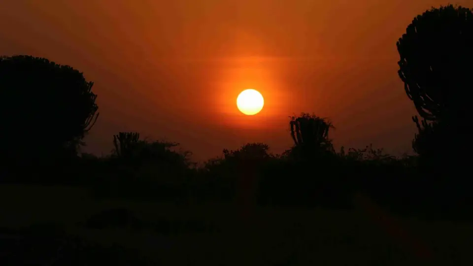 hf08d402.jpg