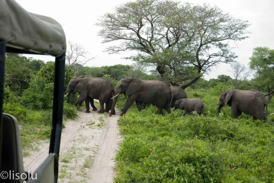 Tembe2012_103.jpg