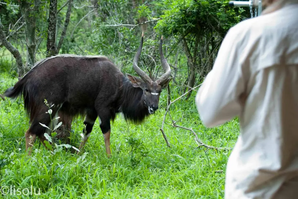 Tembe2012_106.jpg