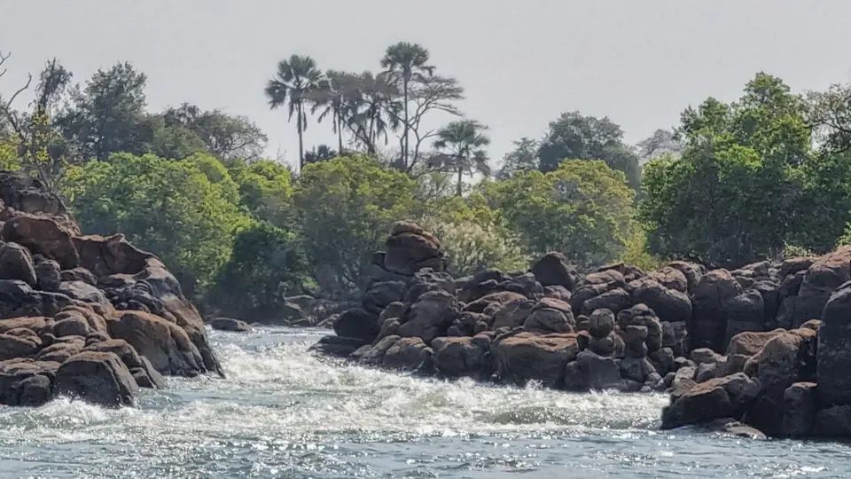 20230721_141559.jpg