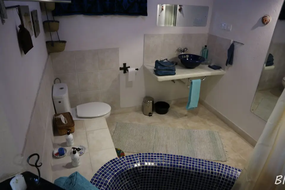 IMG_2209.jpg