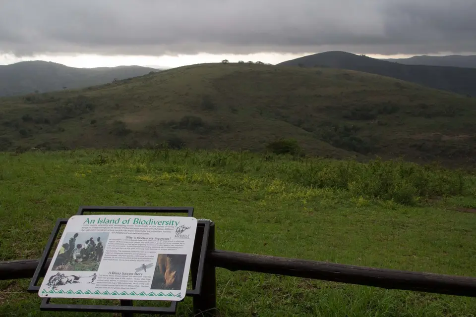 IMG_9547_bearbeitet-1.jpg