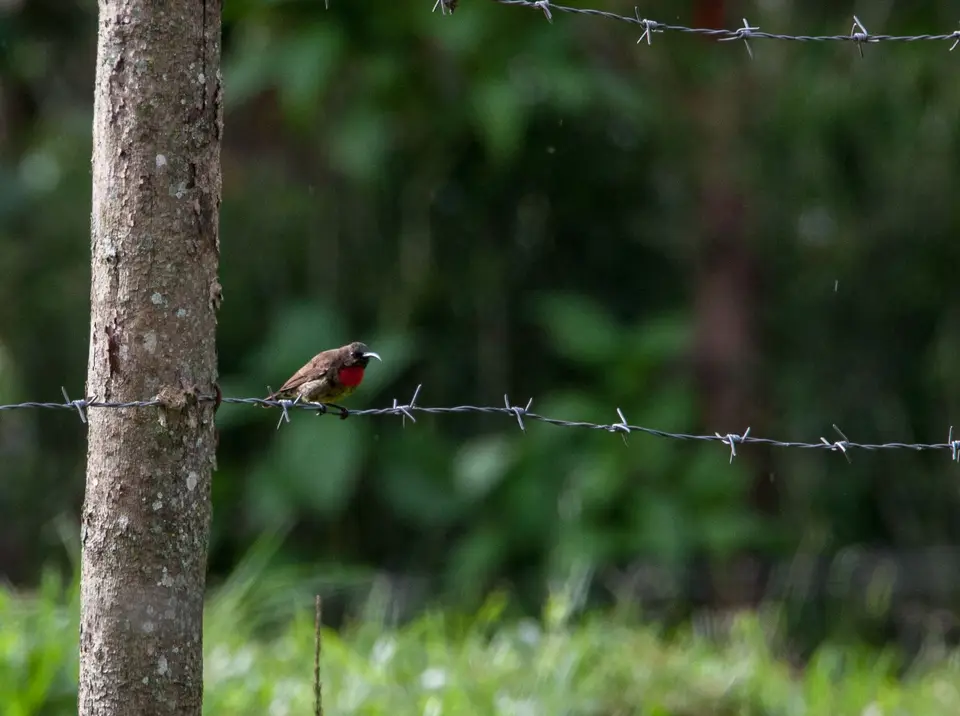 Privat(448von292).jpg