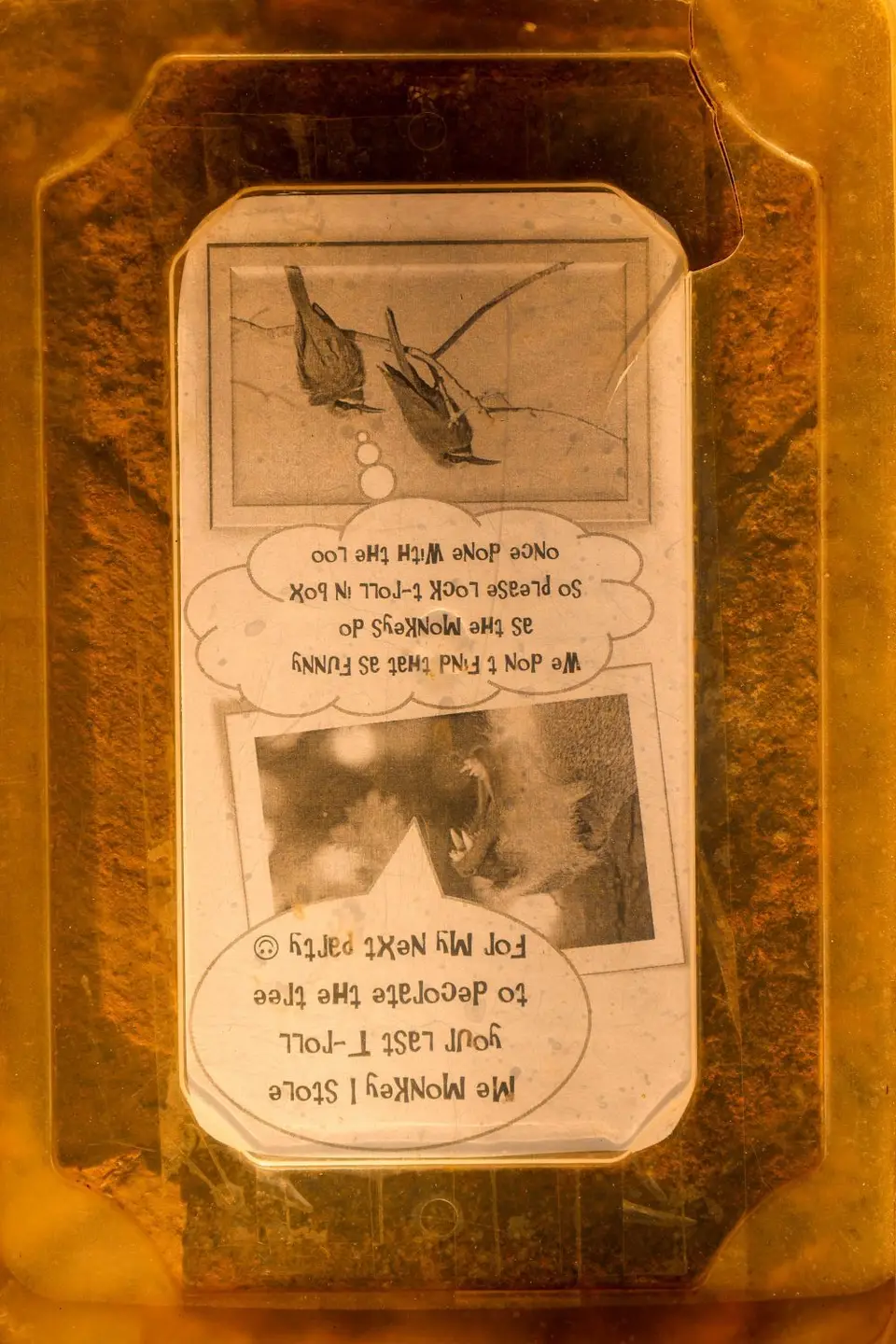 Spruch.jpg