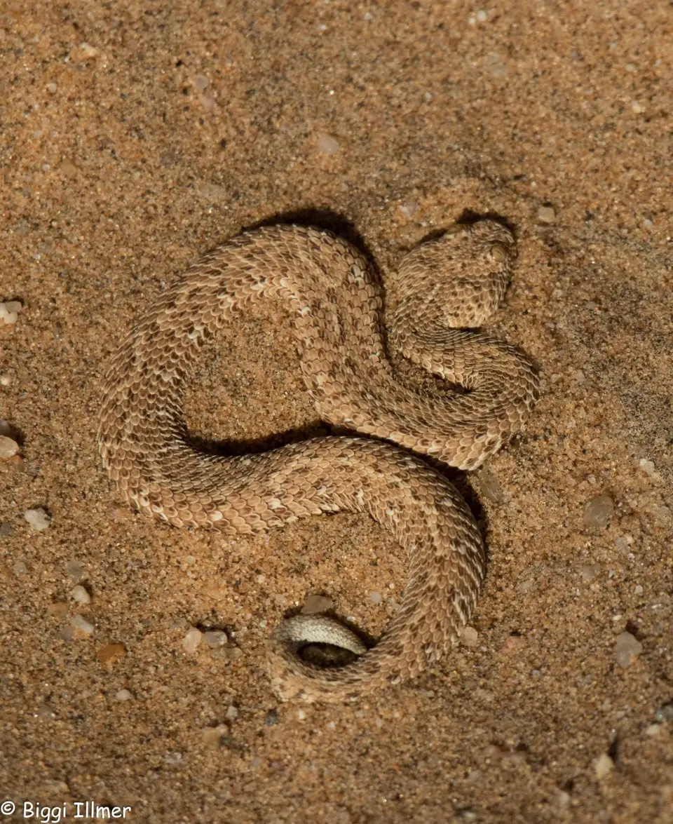 Urlaub18II(1von1)-1022.jpg