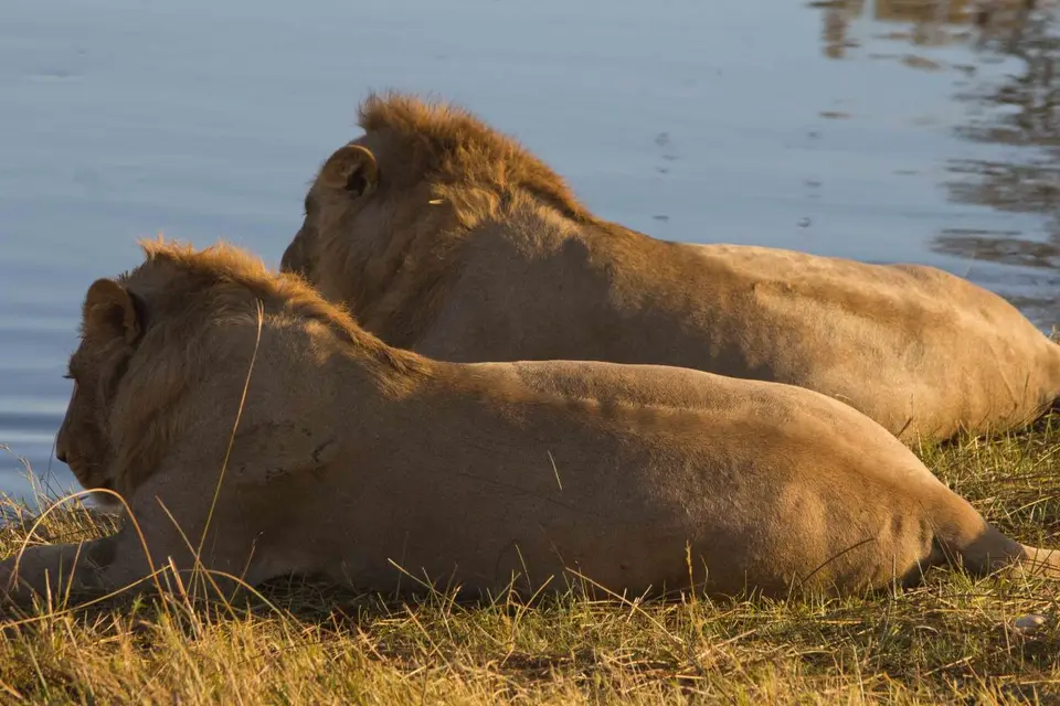 h0b84456.jpg