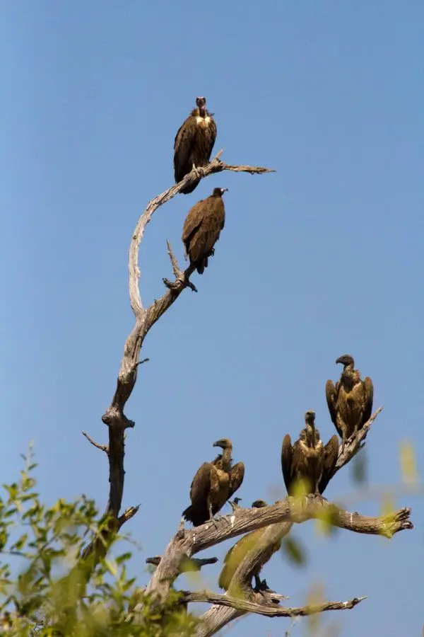 h0f80d57.jpg
