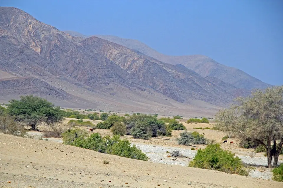 h5ab2a25.jpg