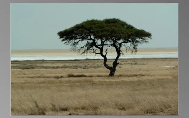 AfrikaAdHoc-010.jpg