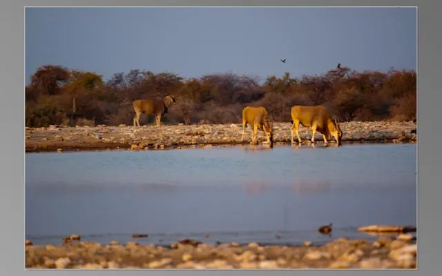 AfrikaAdHoc-026.jpg