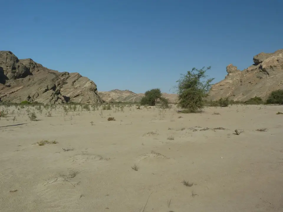 h6f03213.JPG