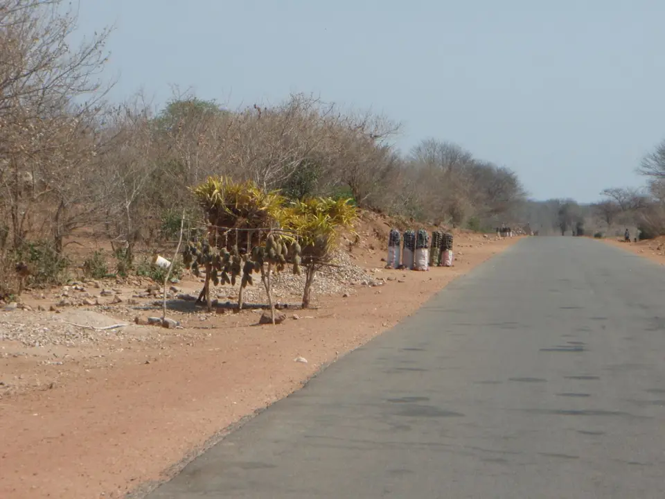 Sambia_PB020028.JPG