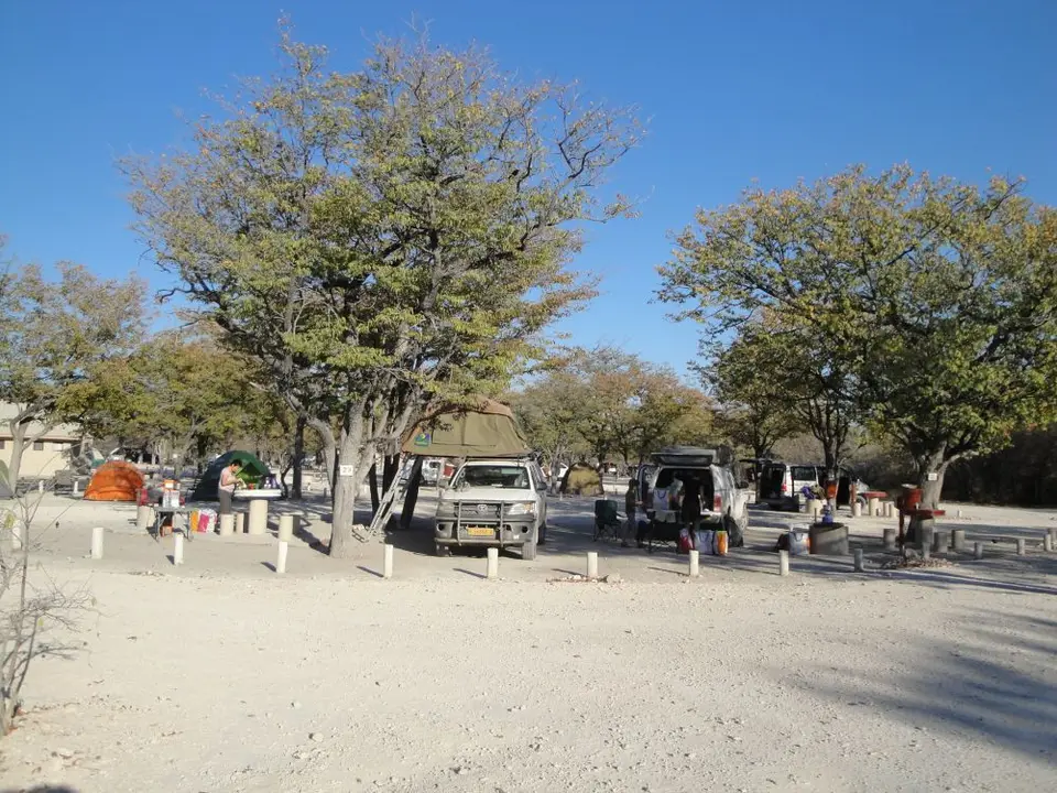 DSC02750.jpg